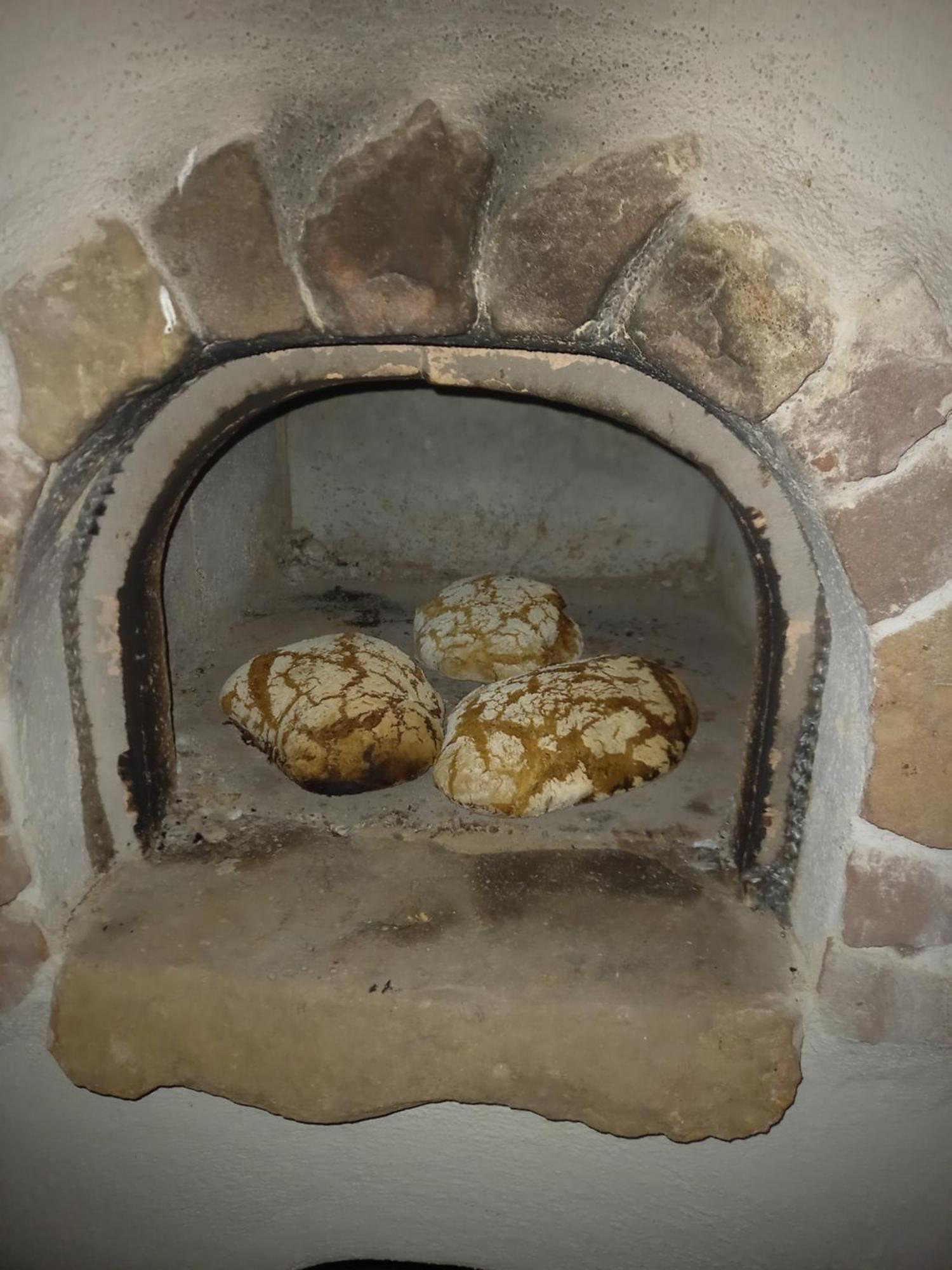 Apartamento Wickys Igelnest Malsch  Exterior foto
